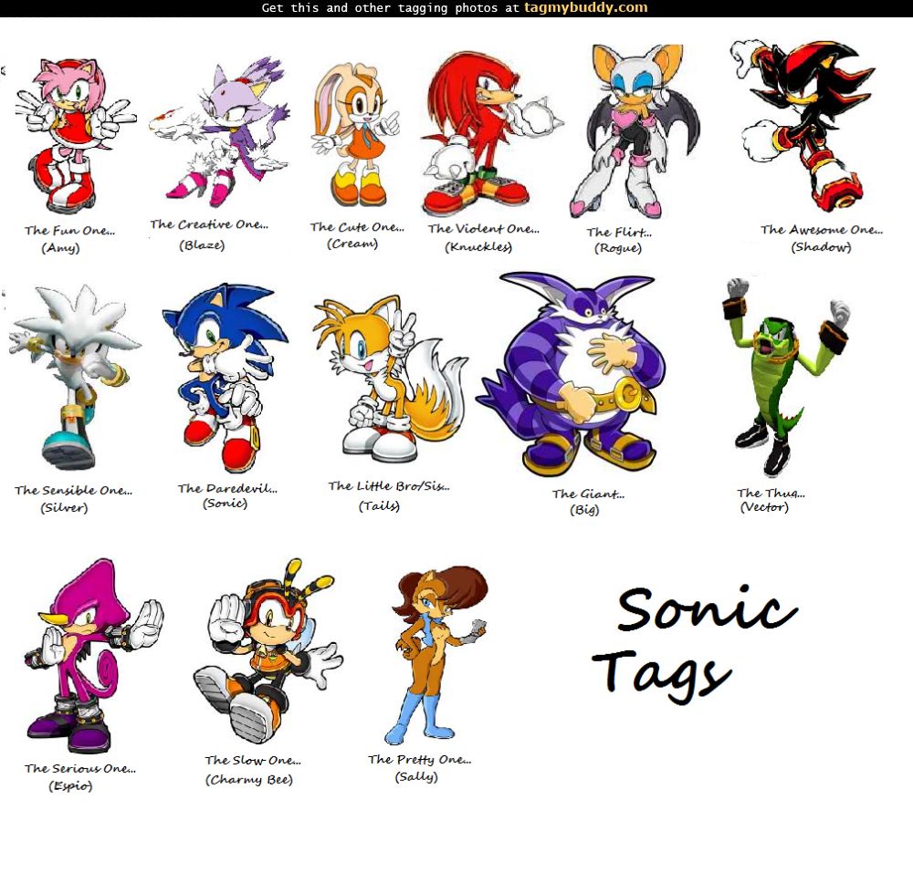 TagMyBuddy-Image-10918-Sonic-Character-Traits