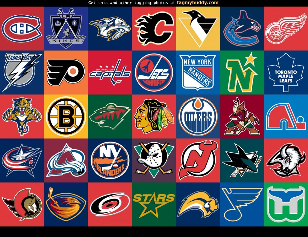 TagMyBuddy-Image-11026-Hockey-Logos